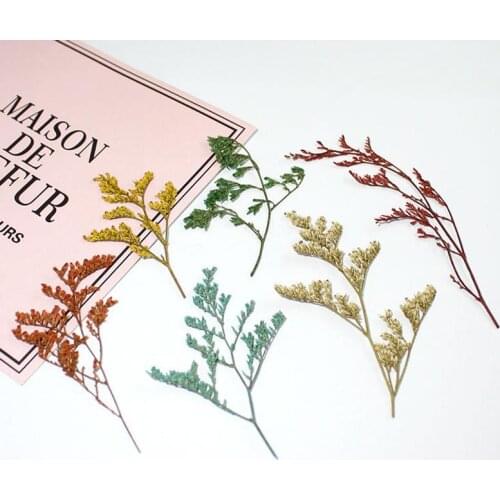 120PCS Dried Natural Long Branches Grass, Dyed Flower Grass DIY Making Handmade dry flower supplies for resin epoxy craft