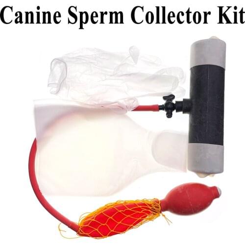 1SET Dog Pet Semen Collection Kit Canine Sperm Collector Artificial Insemination Plastic Rubber Bags Collect Gloves Corgi Husky