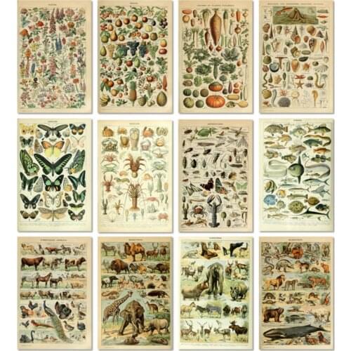 Vintage Vegetable Fruit Mushroom Posters And Prints Antique Botanical Science Canvas Painting Wall Art Pictures Home Decor