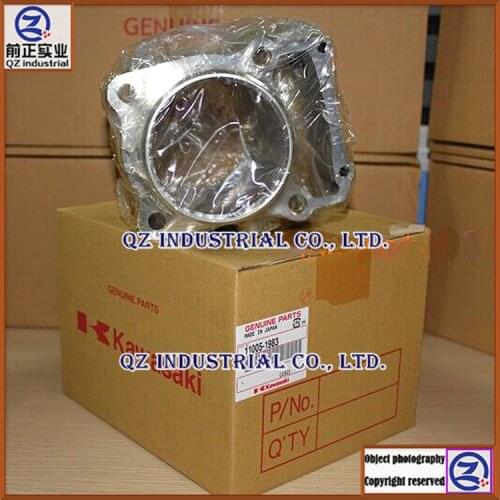 New and original high quality long service life for kawasaki 300cc 97-07 11005-1983 KLX300 cylinder