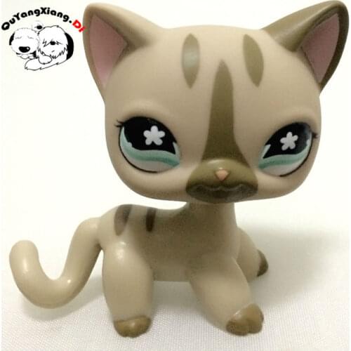 CWM020 Pet Shop Animal Gray Short hair Cat Blue Eyes Kitty doll action Figure kitten