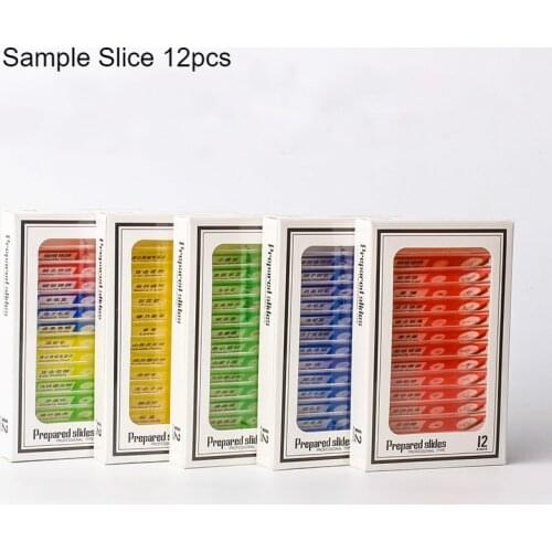 JVLAB Microscope Lamps