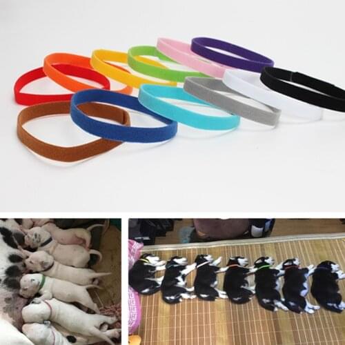 12PCS/Set Puppy Dogs Cats Identification Collar Adjustable Collars Neck Strap for Pets Soft Plush Pets Distinguish Accessories