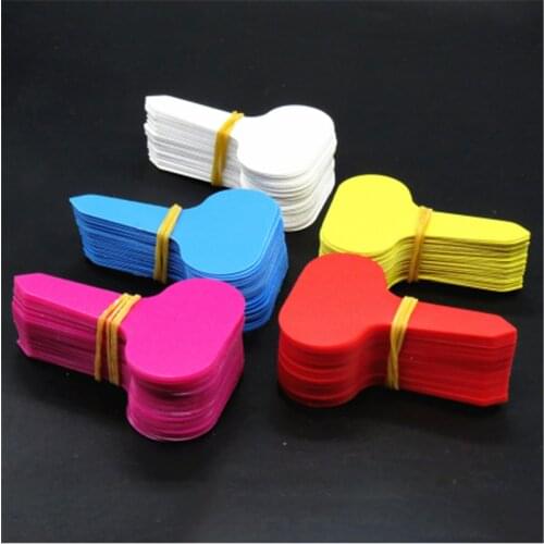5PCS Colorful Plant Markers Garden Bonsai Succulent Seedings Tags Sign PVC Gardening Labels Stake on Soil Paint Sticks