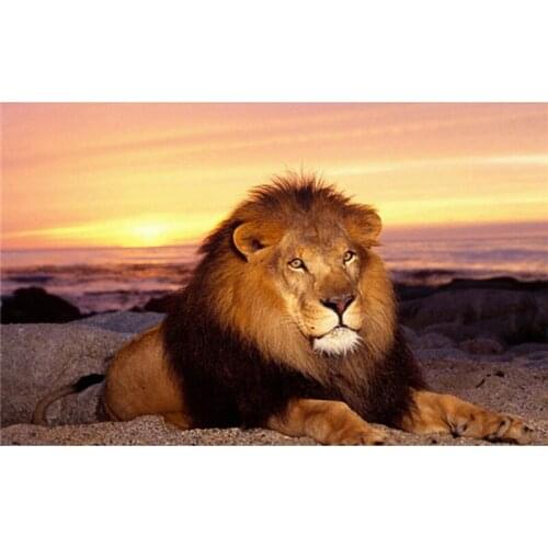 Special Offer Lion King diamond embroidery flower crafts knitting needles diamond painting - square Diamond Embroidery A7174R