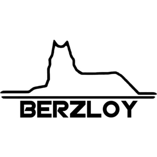 20x10cm Funny Vinyl Decal BERZLOY Car Sticker Reflective Waterproof Stickers on Truck Bumper Rear Window
