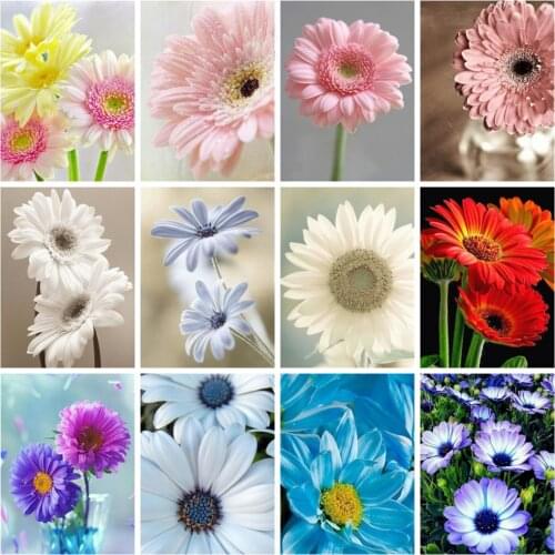 Huacan Diamond Painting Full Daisy Wall Stickers Square/round Embroidery Cross Stitch Flower Color Mosaic Home Decoration