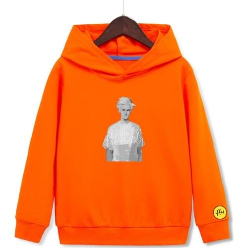 Мерч А4 Lamba Thin Children Hoodie 100% Cotton Мерч А4 Baby Clothing Casual Boy girl Hooded Sweatshirts Pullover Tops