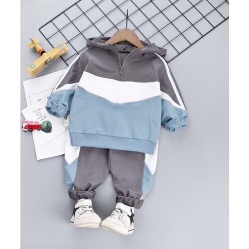Baby Kids Clothes Children Cartoon Hooded Jackets Pants 2Pcs/set Toddler Fashion Cotton Clothing Infant Tracksuits 2-6 YEARS