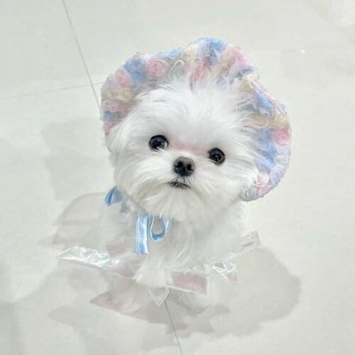 Embroidered Halter Skirt For Dogs Pet Clothing Small Dogs Cat Hat Cute Pet Dress Teddy Akita Chihuahua Puppy Summer Clothes