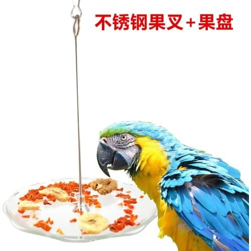LHXMAS PET TOYS Parrot toys Toy bird Parrot stainless steel fruit fork plastic tray Add tableware food container food basin