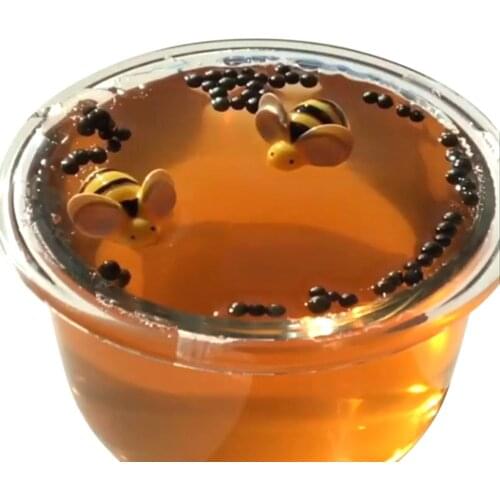60ML Slime Honeybee Putty anti stress Mixing Cloud Scented slaim for kids Toy Practical slime lickers Soft Fluffy slime charms