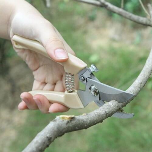 Stainless Steel Grafting Tool Gardening Pruning Shear Scissor Branch Tool Shear C1