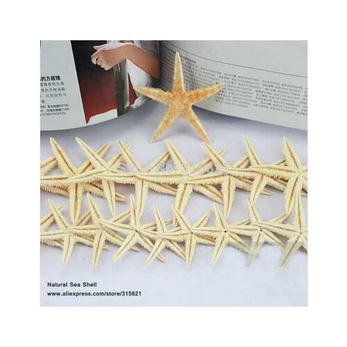 20pcs 6-8cm BIG Natural Starfish Wishing Bottle Sea Star Home Decoration Wall Stickers Adornment Organic Material crafts
