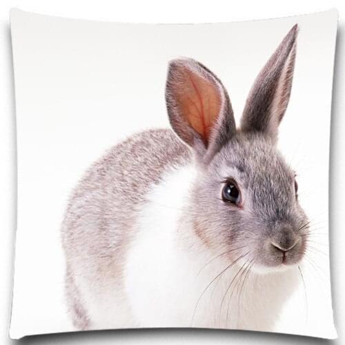 Square 18 Inches Grey rabbit Snake Pattern Animal Pillow Case Cotton Polyester Chair Seat and Waist Home Living Textile