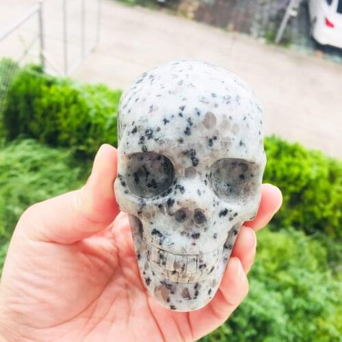 1PCS Natural Hand Carved Kiwi Skulls crystal healing skulls artwork for decoration