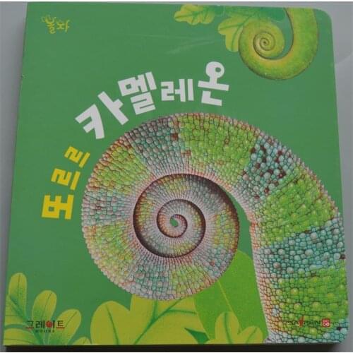 Parent Child Kids Korean Book Early Education Cute Picture Chameleon Knowledge Learning Reading Cardboard Libros Book Age 3