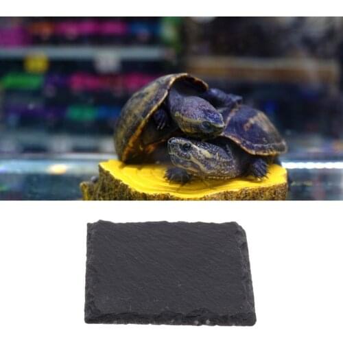 Square Reptile Lizard Turtle Horned Frogs Food Bowl Feeding Dish Basin Natural Rock Plate 10x10cm