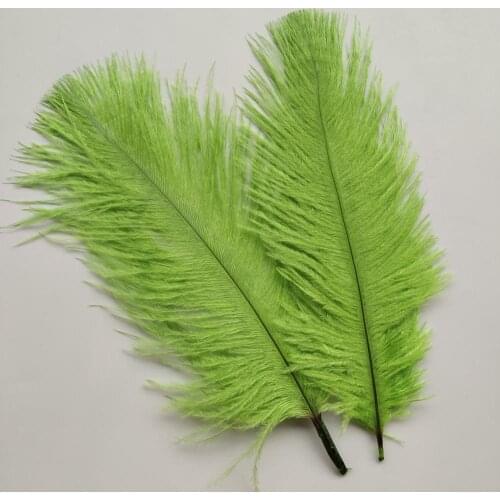 Wholesale 10pcs Beautiful Fruit Green High Quality 6-8 inches/15-20cm Ostrich Feather For Wedding Decoration Handmade
