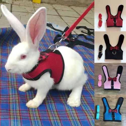 Pet Mesh Soft Harness With Leash Small Animal Vest Lead For Hamster Rabbit Bunny Small Animal Clothes Belt Lead Set Pet Supplies