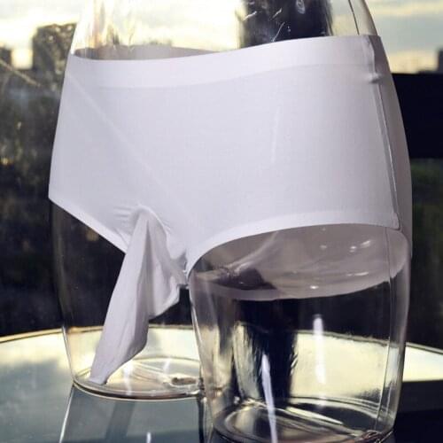 Panties Sexy Gay Ice Silk Briefs Smooth U Convex Penis Sheath Cock Ring Low Rise Sheer Seamless Panties G-string Plus Size