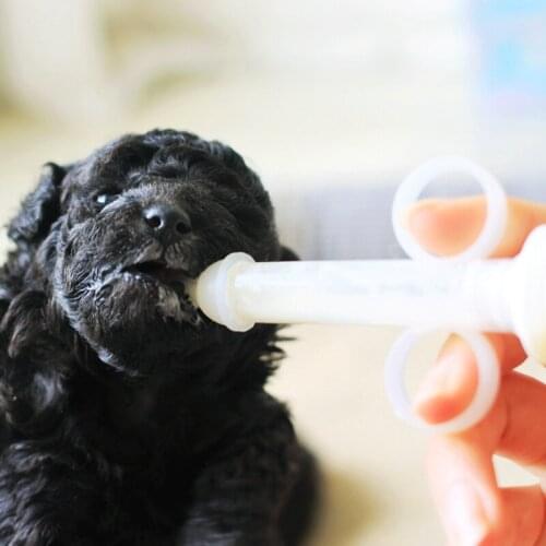 Cute Pet Water Bottle Portable Puppe Kitten Nursing Milk Bottle Feeder Small Dogs Cats Animal Baby Feeding Tools With Brush