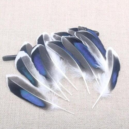 50pcs Beautiful Goose Feather Clothing Necklace earrings dance accessories Decorative Feather 10-15cm