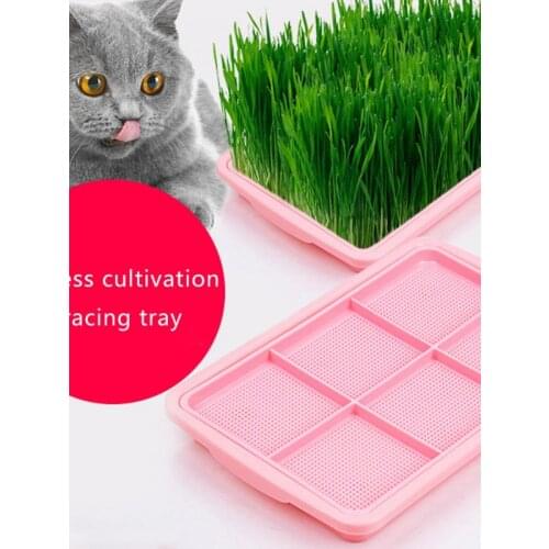 Pet Cat Hydroponic Cat Mint Grass Planting Box Easy Cleaning Replacing Practical Soilless Cultivation for Gardening Bonsai