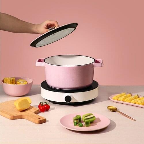 Cast Iron Enamel Pot Casserole Stock Pot Dutch Pot Rice Pot With Lid Suitable For All Stove Baking Oven Safe 22cm