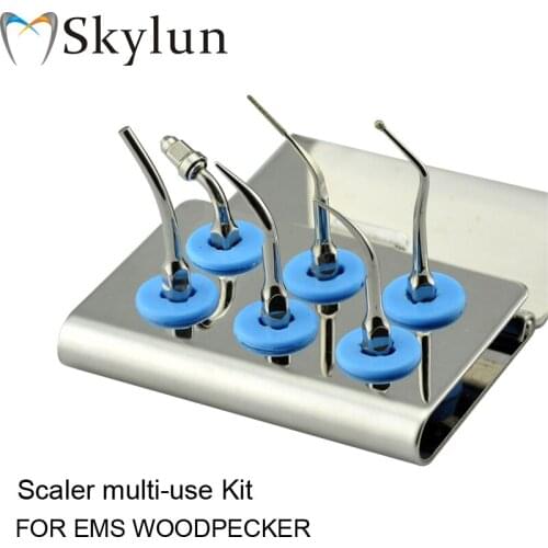 Dental Ultrasonic scaler Tip Kit Scaler Multi-use Kit Silver C1 G1 G4 P1 E1 SB1 Fit EMS WOODPECKER AT05