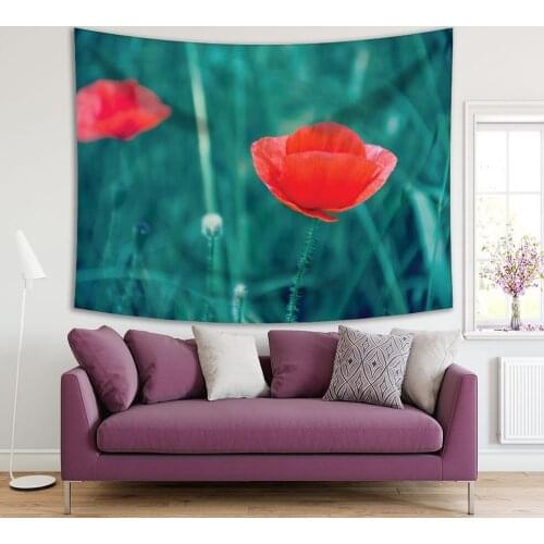 Tapestry Poppy Flowers in Grasses Wild Flowers Nature in Meadow Becomes Blurred Background Photo Red Green