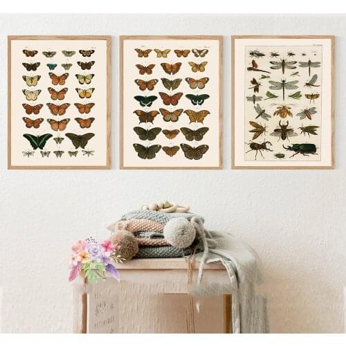 Antique Butterfly Vintage Poster Prints Insect Kind Nature Education Wall Art Canvas Painting Picture Kids Room Home Wall Decor