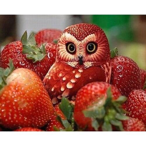 Strawberry Owls Needlework 3D Diamond Embroidery House Round Diamond Painting Cross Stitch Crystal Full