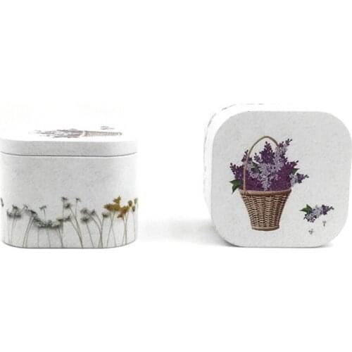 Xin Jia Yi Packaging Metal Tinplate Box Small Christmas Gift Packaging Mini Square Tin Cases Little Collectible Boxes