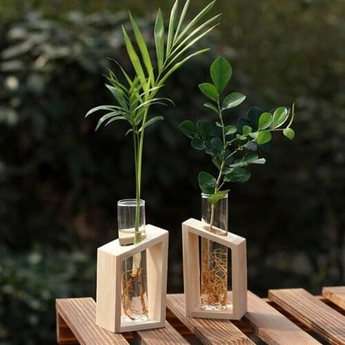Crystal Glass Test Tube Vase in Wooden Stand Flower Pots for Hydroponic Plants Home Garden Decoration