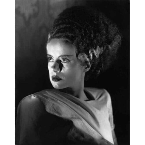 Bride of Frankenstein Elsa Horror Movie Art Film Print Silk Poster Home Wall Decor 24x36inch