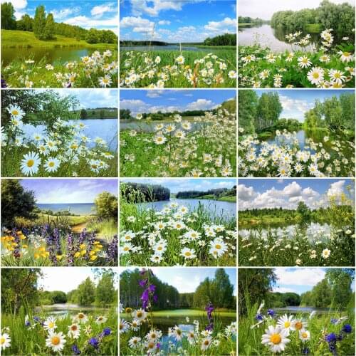 EverShine Diamond Painting Full Square Landscape Cross Stitch Diamond Embroidery Daisy Rhinestones Art Natural Home Decoration