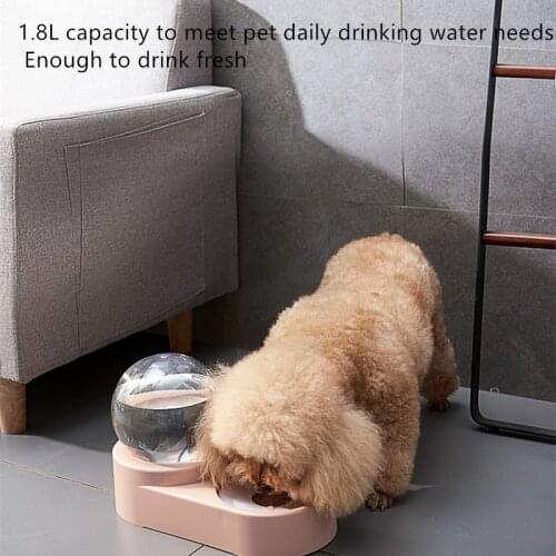 Spherical Dog Bowl in Small Dogs Food Basin Cat Bowl Automatic Cat Water Fountain Pet Supplies HPIS Double Bowl Gift