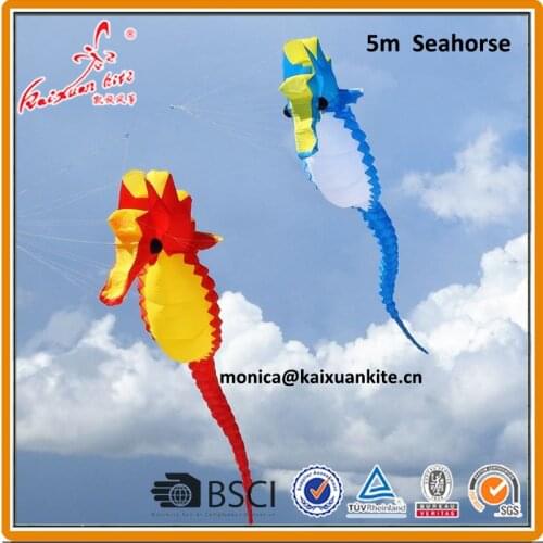 5m Seahorse Inflatable kite from kaixuan kite factory