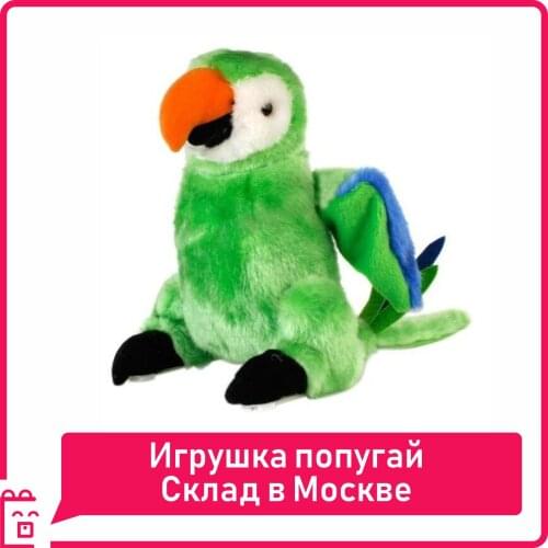 Russia Eco Store Radio-controlled Toys