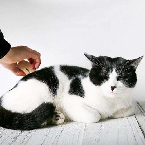 Wooden Pet Dog Comb Grooming Brushes Deshedding Grooming Comb Wooden Groomer Ergonomic Design for Cats Dog