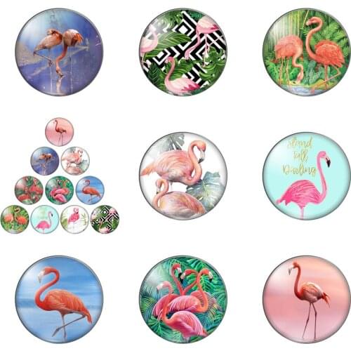Fashion Beauty Flamingo Animals Round Photo Glass Cabochon Demo Flat Back Making Findings Handmade DIY Accessories