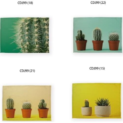 Cactus pink kitchen accessories placemats for dining table dinning table mat japanese fashion Oilcloth on table Dining tables
