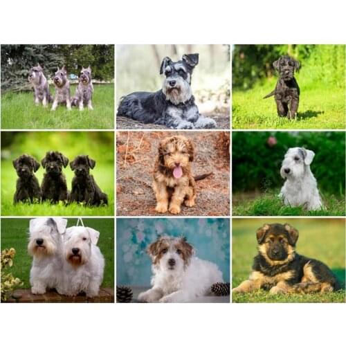 Yumeart Diamond Painting by Number Schnauzer Dog Diamond Embroidery Picture of Rhinestone Full Square Drill Pattern Home Decor