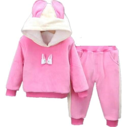 Children Clothing Baby Girls Clothes Set Autumn Winter Toddler Newborn Girls Suit Plush Hooded jacket+Pants 2Pcs Kids Tracksuit