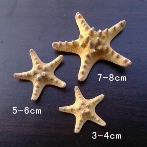 HappyKiss Natural starfish conch shell Wedding decoration home decoration wholesale sea star natural crafts sea baby