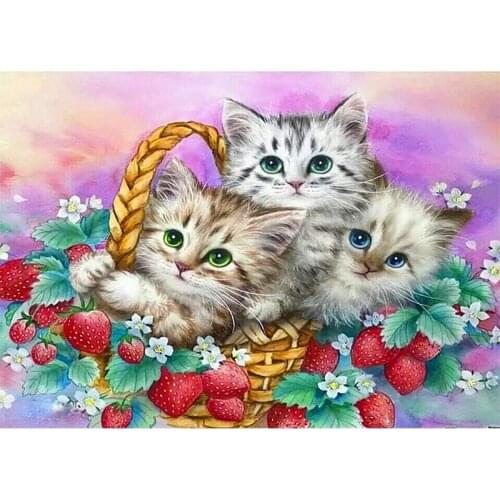 Full Square / Round Drill 5D DIY Diamond Painting "Three cats" Embroidery Cross Stitch Mosaic Rhinestone Home Decor Gift-GT-05