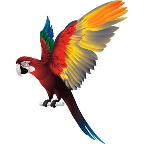 PLAY COOL Parrot Bird Spread Wings Creative Funny Car Sticker Automobiles Motorcycles Exterior Accessories PVC Decals