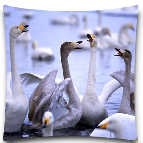 Swans in the water 2D print creative Pillow case Square cotton polyester cushion cover 5 size 9 style