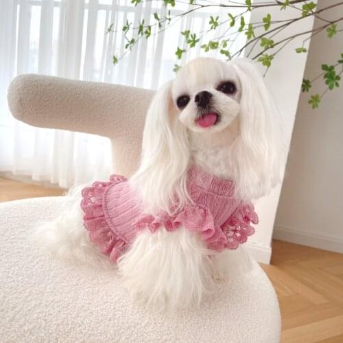 XXS XS Small Dog Dress Winter Cat Chihuahua Clothes Lace Skirt Yorkshire Terrier Pomeranian Maltese Shih Tzu Poodle Clothing
